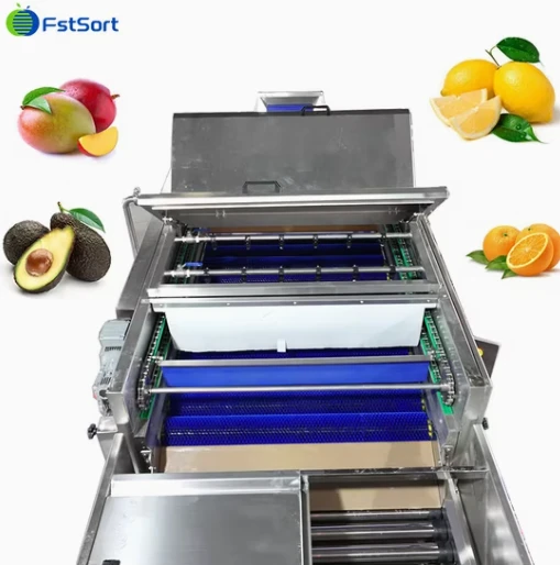 FstSort Automatic Mango Weight Processing Line best